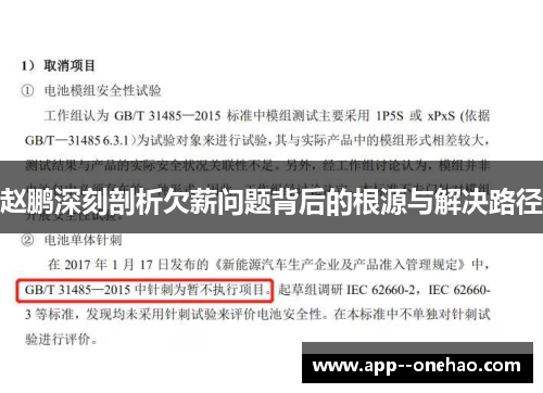 赵鹏深刻剖析欠薪问题背后的根源与解决路径