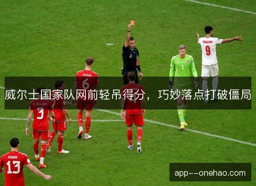 威尔士国家队网前轻吊得分，巧妙落点打破僵局